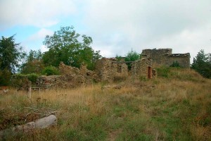 Gallorinata
