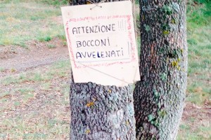 bocconi avvelenati