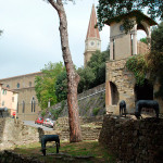 Diefenbach - prato