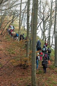 Escursionisti nel Parco