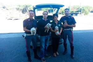 Sequestro Polstrada Cagnolini