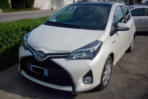 yaris