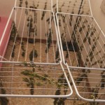 Polizia sequestro droga