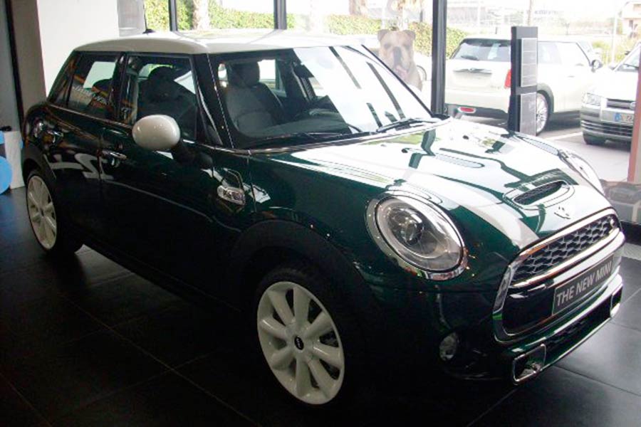 Mini 5 porte