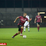 arezzo-lupa_01