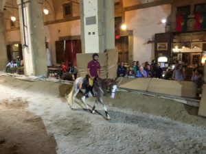 IMG_4089
