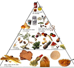catena_alimentare