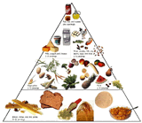 I disturbi del comportamento alimentare