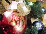 Sei alberi di natale in città Sei alberi di natale in città