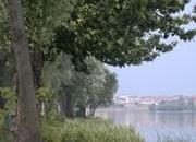 WWF: disastro in Arno, gravissimo danno ambientale
