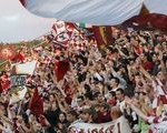 tifo