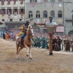 saracino_05
