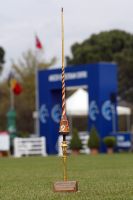 Il Trofeo Lancia d?Oro Il Trofeo Lancia d?Oro