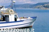 WWF: pesca, non facciamo naufragare il regolamento WWF: pesca, non facciamo naufragare il regolamento