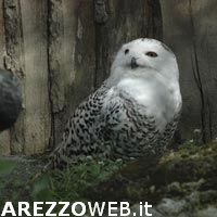 Doppio appuntamento con la natura Doppio appuntamento con la natura