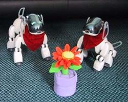 Ecagents: I robot che lavorano in team