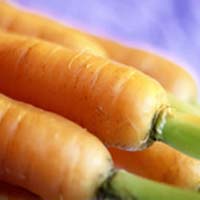 Sicurezza alimentare, ecco i consigli