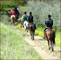 A cavallo lungo l’Arno