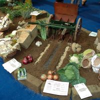 Agrietour: italiani, popolo di agronauti Agrietour: italiani, popolo di agronauti
