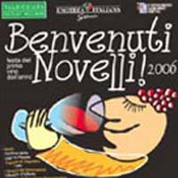 Vino Novello 2006 all’Outle Village di Foiano