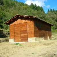 Anche il legno ha la sua filiera