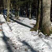 Prima nevicata del 2007 in Alto Casentino