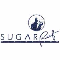 MT LIVE in concerto allo Sugar Reef