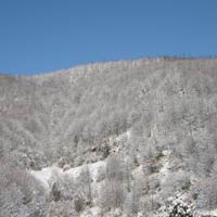 Prima neve sui valichi del Casentino