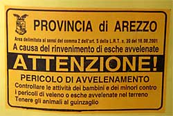 Esche avvelenate: molti i casi nel territorio aretino