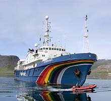 Greenpeace: continua la campagna per salvare le balene Greenpeace: continua la campagna per salvare le balene