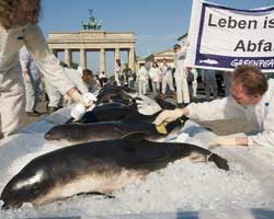 Greenpeace: balene e delfini uccisi e portati in piazza a Berlino