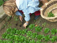 “Un orto in giardino”. Percorso sensoriale all’asilo comunale di via Cesti