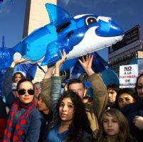 Greenpeace: una lunga marcia per difendere le balene