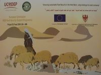 Un corso di tecnologie casearie