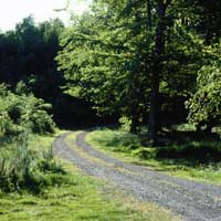 Tante occasioni per stare a contatto con la nature