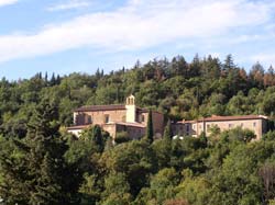 Suoni, voci e sapori nel bosco di Sargiano