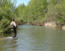 Arezzo ospita i protagonisti mondiali della pesca a mosca