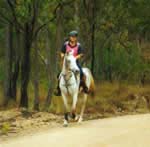 Passeggiata a cavallo attraverso le colline prossime alla città Passeggiata a cavallo attraverso le colline prossime alla città