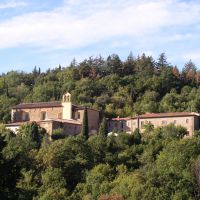 A spasso per il bosco di Sargiano