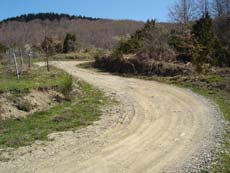 Strada per l’Alpe di Catenaia ecco il piano di recupero