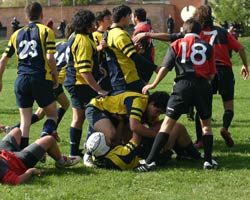 Vasary Rugby Arezzo batte il Rugby Lucca 60 – 0