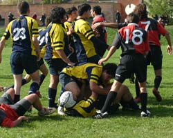 Vasary Rugby Arezzo batte il Rugby Lucca 60 – 0 Vasary Rugby Arezzo batte il Rugby Lucca 60 – 0