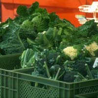 Alimentazione: i cavoli un ortaggio di stagione Alimentazione: i cavoli un ortaggio di stagione