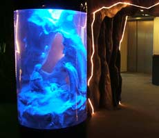 L’Acquario di Genova si prepara al Natale