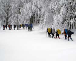 Neve e natura