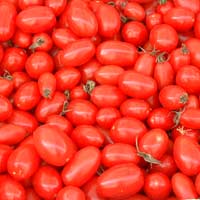 Crisi del settore del pomodoro: chiesto l’intervento della regione