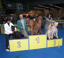 La mostra canina quest’anno raddoppia