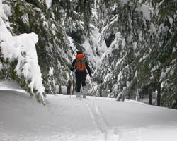Torna la neve nel Parco Nazionale Foreste Casentinesi