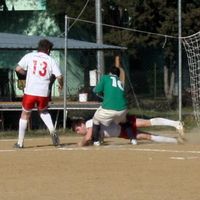 Rugby: vittoria casalinga per gli Arieti