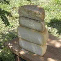 Il formaggio va al ‘Mercatale’